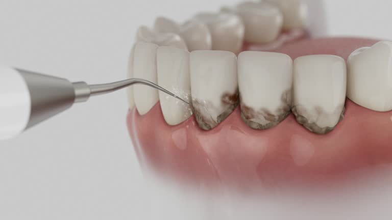 Reliable Dental contractor in Wilmington Island, GA by Dentist Open Now
